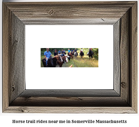 horse trail rides near me in Somerville, Massachusetts